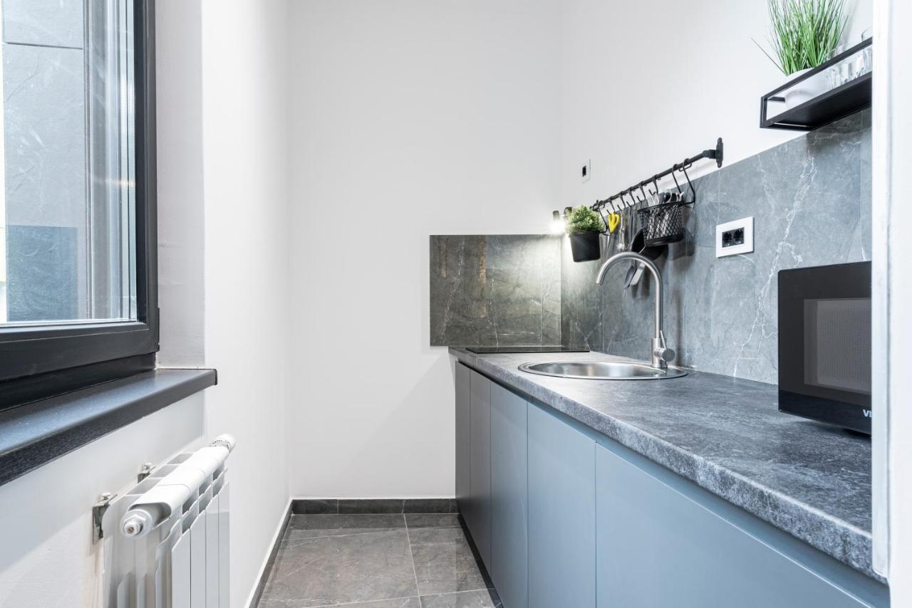 Vertigo Modern Studio-Free Private Parking-Fast Wi-Fi Novi Sad Eksteriør billede